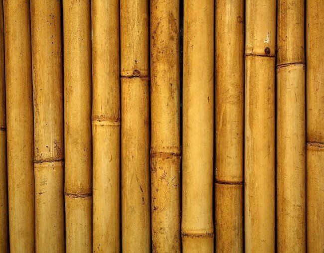 So sánh nội thất mây tre và nội thất gỗ tự nhiên - Lựa chọn nào tốt hơn cho không gian sống của bạn?